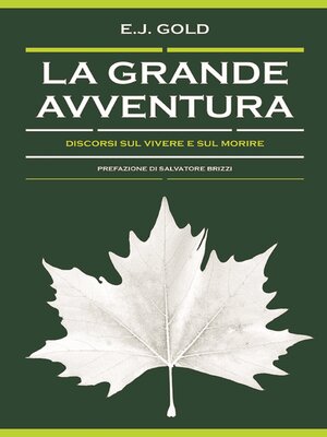 cover image of La grande avventura